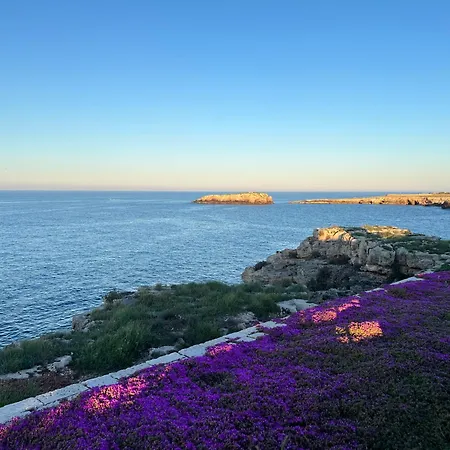 La Steila Del Sud *